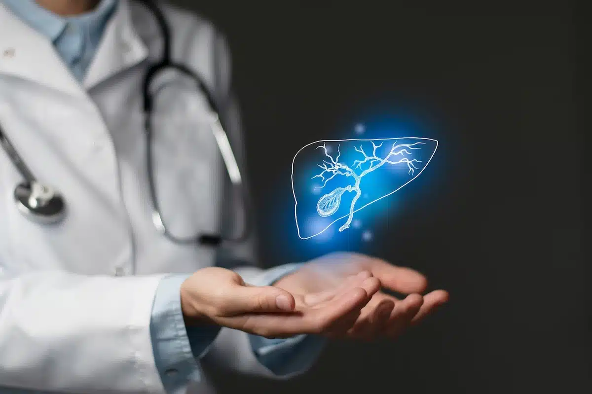 Medizinische Illustration der menschlichen Leber mit angrenzenden Gefäßen auf einem dunklen Hintergrund. Das Bild verdeutlicht die Bedeutung der Lebergesundheit und den positiven Effekt eines Rauchstopps mit Asmoken auf die Entgiftungsfunktion des Organs.
