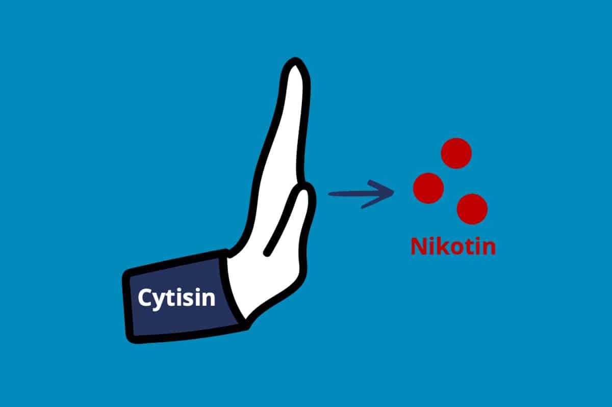 Rauchverlangen mit Cytisin stoppen